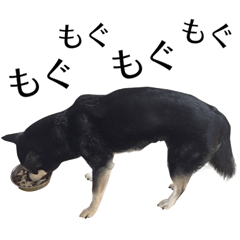 [LINEスタンプ] くろおばあちゃん