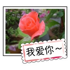 [LINEスタンプ] Blessing of flowers