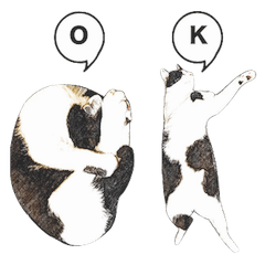 [LINEスタンプ] 白黒ハチワレ猫のむぅたん その2
