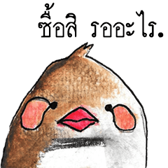 [LINEスタンプ] "Kaolia"The Fantastic Bird