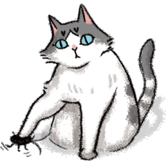 [LINEスタンプ] Bopo cat daily