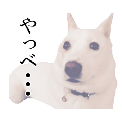 [LINEスタンプ] 雑種のリク
