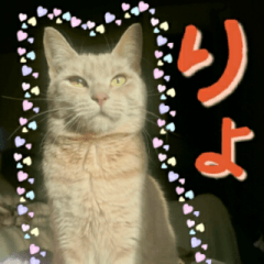 [LINEスタンプ] ねこのきなこスタンプ