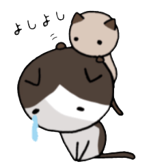 [LINEスタンプ] ちびねこたん