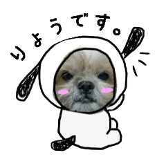 [LINEスタンプ] シーズー犬のりょうスタンプ