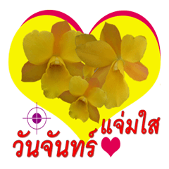 [LINEスタンプ] FLOWER TODAY FOR YOU