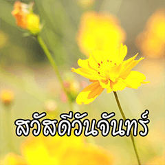 [LINEスタンプ] Hello Everyday [TH]