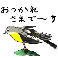 [LINEスタンプ] Wild Bird Sticker 2.1