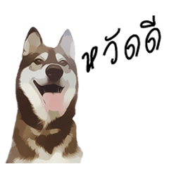 [LINEスタンプ] HUSKY HERO 