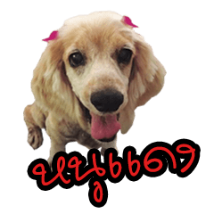 [LINEスタンプ] happy DOG nu dang