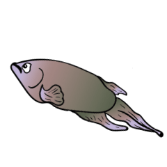 [LINEスタンプ] swimming fighting fish 