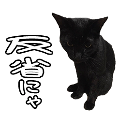 [LINEスタンプ] Fさまの愛猫のスタンプ