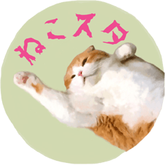 [LINEスタンプ] ねこスタ（おれみみ）