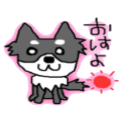 [LINEスタンプ] 使える犬のスタンプ