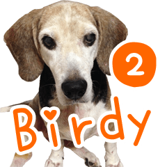 [LINEスタンプ] Bridy the Beagle 2