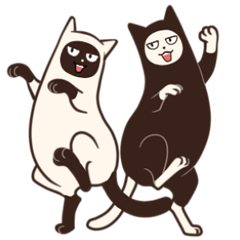 [LINEスタンプ] ねこのハイ＆ロー