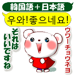 [LINEスタンプ] 韓国語と日本語(丁寧語)の白熊ちゃんの画像（メイン）