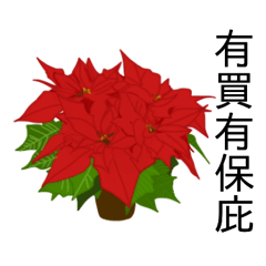 [LINEスタンプ] flowers language