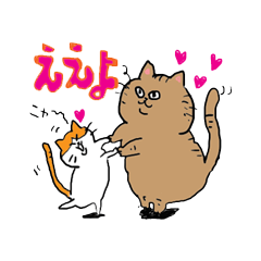 [LINEスタンプ] ドジ猫の平和な毎日（伊予弁）