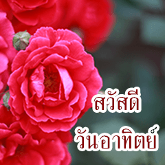 [LINEスタンプ] Flowers greeting