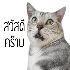 [LINEスタンプ] Chopperandnim