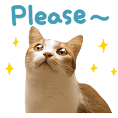 [LINEスタンプ] Mila Kitten